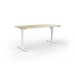 OLG QuickStand Height Adjustable Desk 1200W x 750D x 720-1200mmH White/New Oak