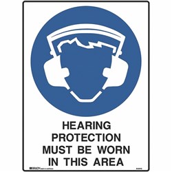 Brady Mandatory Sign Hearing And Eye Protection 450W x 600mmH Poly White/Blue